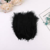 Namzi 200Pcs Fluffy Feathers 3.9-5.9Inch for Crafts Making Wedding Party Decoration-Black
