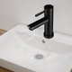 thumbnail image 3 of FELTECHELECTR Grifo de baño monomando de un solo orificio para lavabo con mangueras de interfaz, 3 of 7