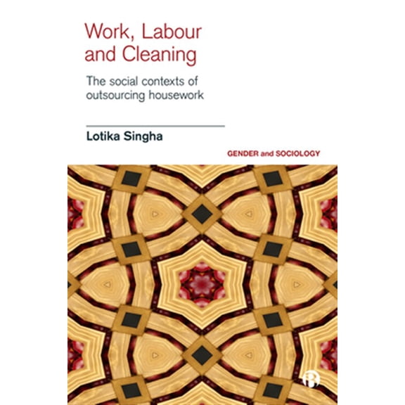 Pre-Owned Work, Labour, and Cleaning : The Social Contexts of Outsourcing Housework (Hardcover)