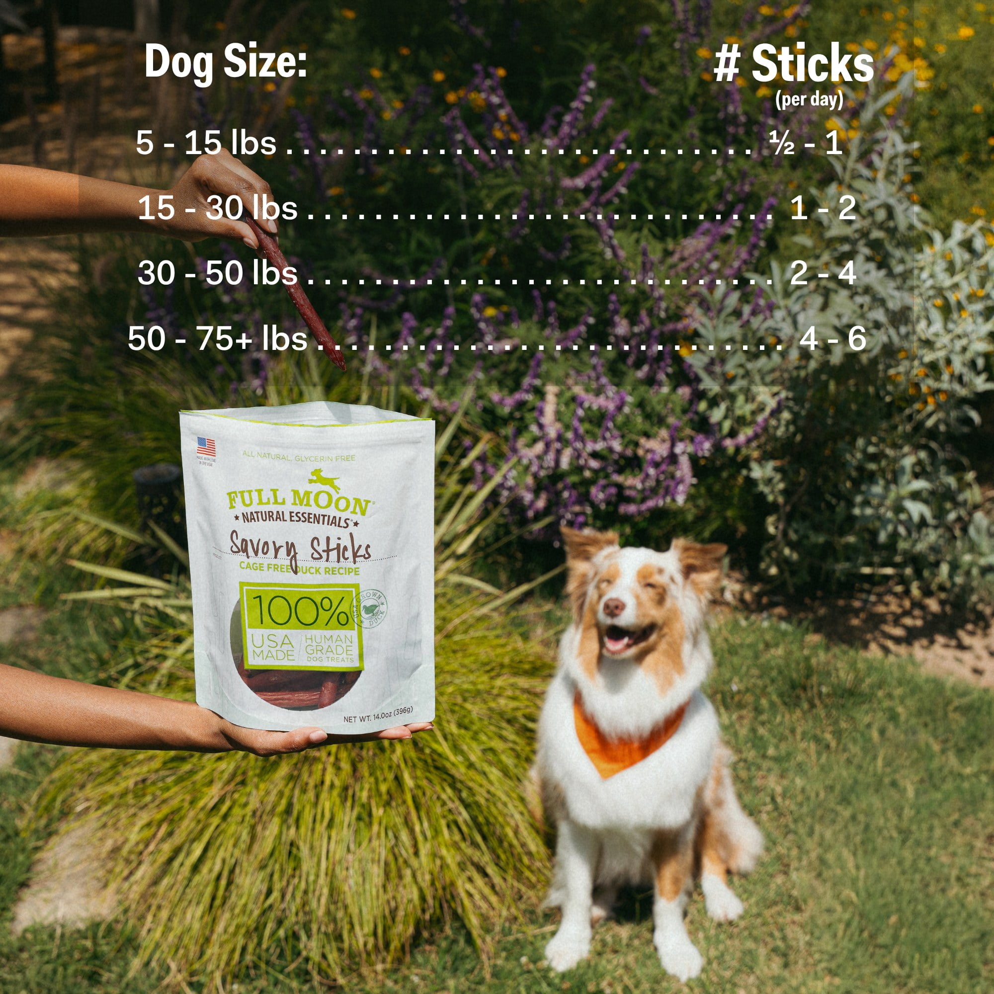 Full Moon All Natural Human Grade Dog Treats, Essential Duck Sticks, 22 Ounce