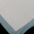 thumbnail image 5 of Disposable Incontinence Bed Pads Mattress Protection Sheet 45 x 33cm Blue, 5 of 8