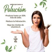 Leche Pal Pelo Day Hair Spa 14.9oz