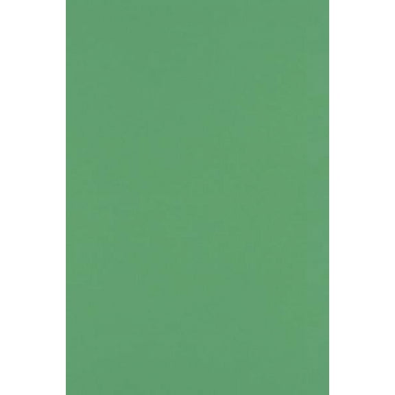 LUXPaper 12 x 18 Paper, 80lb Holiday Green, 250/Pack