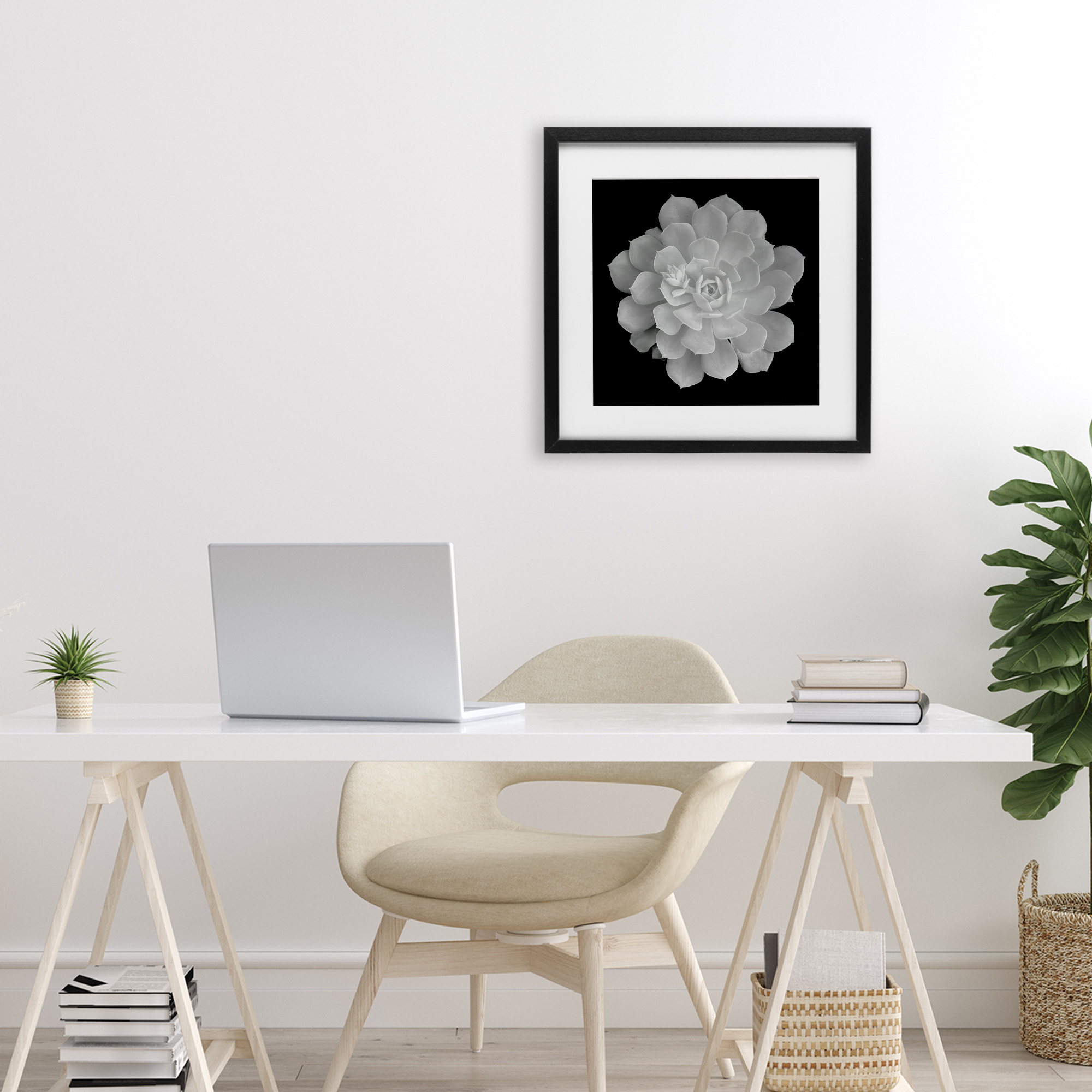 Pure White Succulent Contrast Black Framed Print Under Glass, design by Phillip Flowers