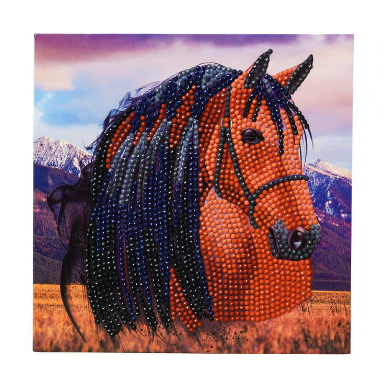 DIY Diamond Painting Horse Facet Art Bead Picture Kit