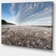 thumbnail image 2 of Autumn Hoarfrost on Grass, 2 of 3