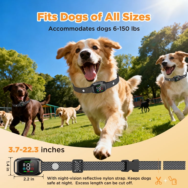 small dog vibration bark collar Shock Collar for Small Dogs | Best Shock Collar with Remote for Biting & Barking  Puppies