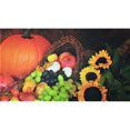 thumbnail image 1 of Custom Printed Rugs DM 80 Sunflower Pumpkin Non Slip Indoor Door Mat, 27 x 18 in., 1 of 1