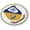 Flexible - Style 2, variant on [Officially Licensed Product] - U.S. Navy Blue Angels 3D Domed CAR Emblem Badge Sticker Round - 8 VAR.