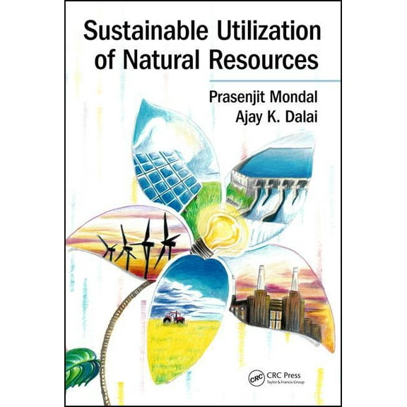 Sustainable Utilization of Natural Resources (Hardcover)