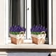 thumbnail image 4 of Flores Artificiales para la Decoración Flor de Simulación Hiacinto Flor Artificial Ramo Escandinavo Decoración Del Hogar Hotel Arreglo Floral Simulación Lavanda, 4 of 6
