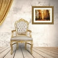 thumbnail image 3 of Villa, Mlli 24x19 Gold Ornate Wood Framed with Double Matting Museum Art Print Titled - Fallow Your Path, 3 of 4