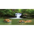 thumbnail image 4 of Safari Piggy Bank, Siberian Tigers in Water Waterfall Pool Woodland Swimming Natural, Ceramic Coin Bank Money Box for Cash Saving, 3.6" X 3.2", Reseda Green Orange, by Ambesonne, 4 of 4