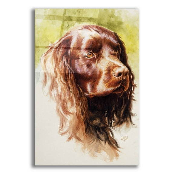 Epic Art 'Am Water Spaniel' by Barbara Keith, Acrylic Glass Wall Art, 12"x16"