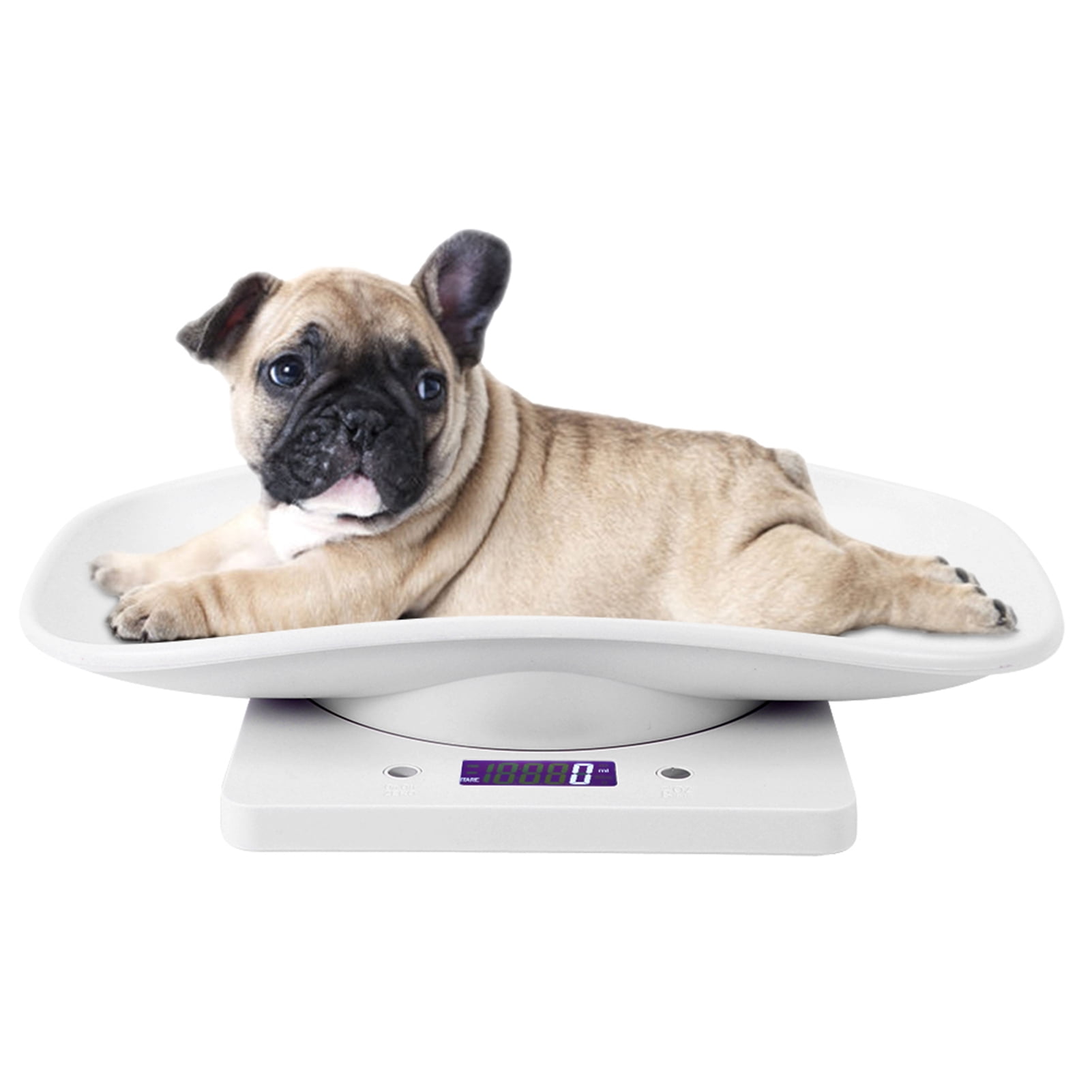 ICARE-PET Pet Scale for Newborn Puppy and Kitten, Pet Scale with Detachable Tray for Dog Whelping Nursing, Weigh Pets Baby in Grams, 33lbs