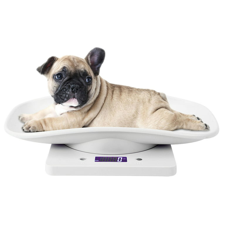 Puppy Scales for Weighing, Cat Weight Scale, 33lb/15kg Vegetables Fruits  Kitchen Electronic Weight Scale with Tape Measure, for