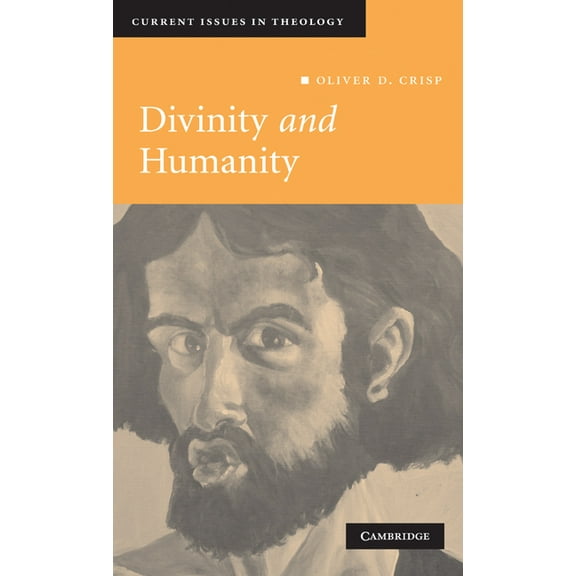 Current Issues in Theology Divinity and Humanity: The Incarnation Reconsidered, Book 5, (Hardcover)