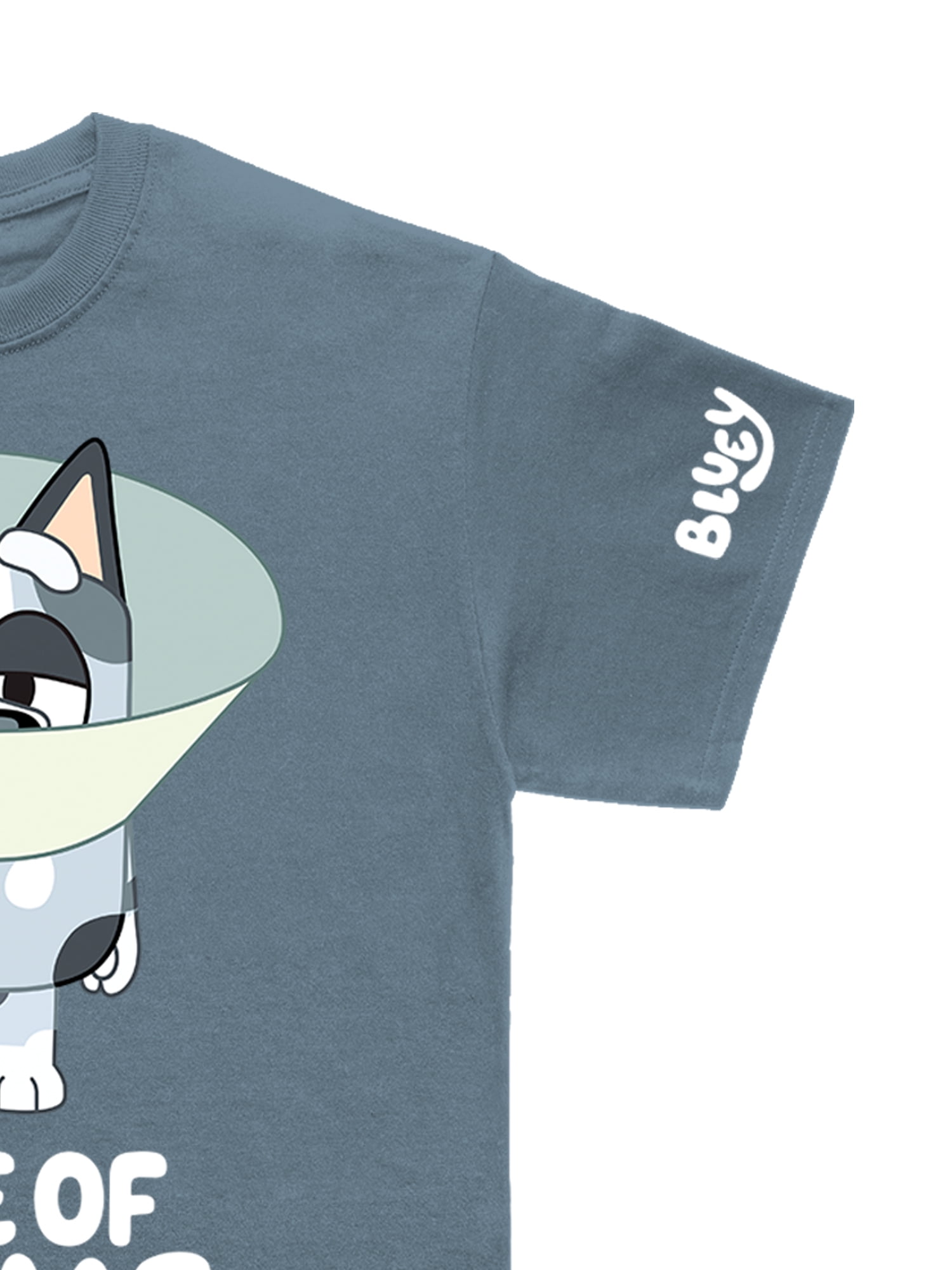 Bluey Mens Graphic Print Tee, Sizes XS-3XL