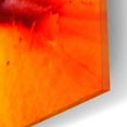 thumbnail image 3 of Epic Art 'Orange Flower on Black 02' by Tom Quartermaine, Acrylic Glass Wall Art, 12"x12", 3 of 8