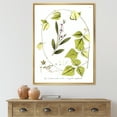 thumbnail image 2 of Designart 'Ancient Botanicals XXI' Traditional Framed Canvas Wall Art Print, 2 of 5