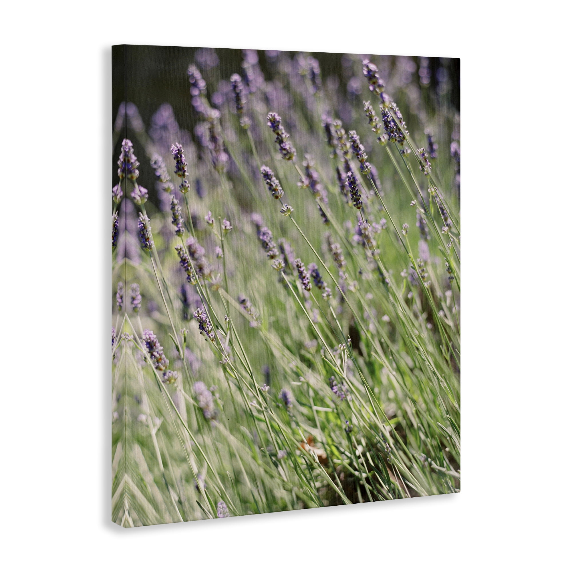 Stupell Industries Country Lilac Garden Botanical & Floral Photography Gallery Wrapped Canvas Art Print Wall Art, 30 x 40
