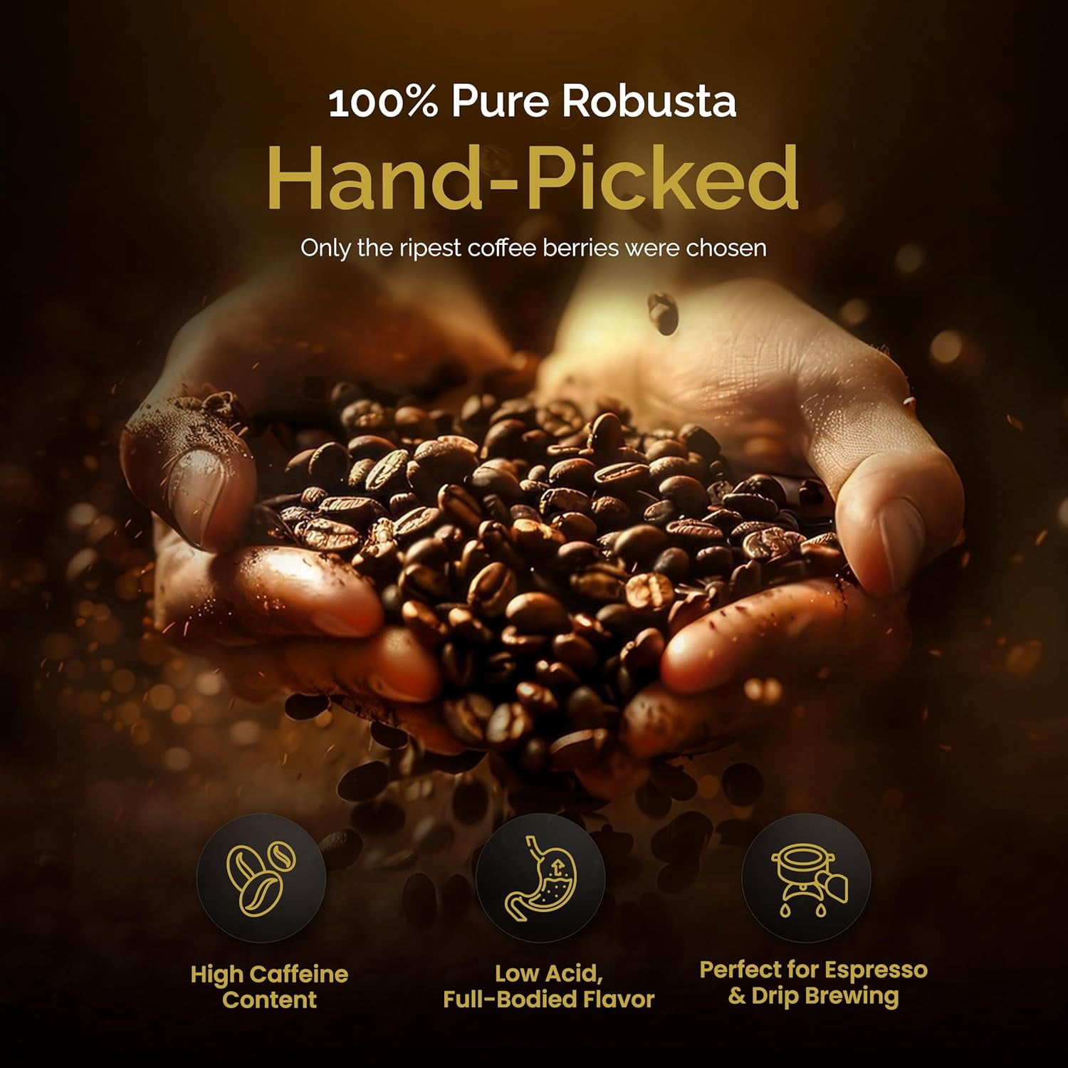 Birdee Vietnamese Coffee – 1 LB, Medium Roast Whole Bean, 100% Robusta, Hand-Picked, Resealable Bag, Smooth Flavor, Low Acid, High Caffeine