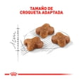 thumbnail image 2 of Alimento Para Gato Cachorro Royal Canin Kitten 1.37 kg, 2 of 4