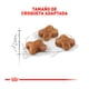 thumbnail image 2 of Alimento Para Gato Cachorro Royal Canin Kitten 1.37 kg, 2 of 4