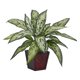 thumbnail image 2 of Set de 2 Plantas de Seda Reina Plateada Nearly Natural, 2 of 2