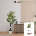 thumbnail image 5 of Árbol Olivo Planta Artificial Realista Con Maceta 1.2m, 5 of 5