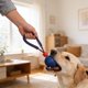 thumbnail image 4 of Pelota de neumático para mascotas con cuerda elástica, juguete de entrenamiento para perros, pelota para masticar y morder, perfecta para juego interactivo, molares de goma., 4 of 6