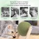 thumbnail image 3 of Cat Mint Ball Toy, Rotatable Catnip Roller Ball Floor Mount(Large), 3 of 5