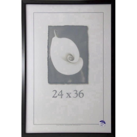 Frame USA Budget Saver Picture Frame Black