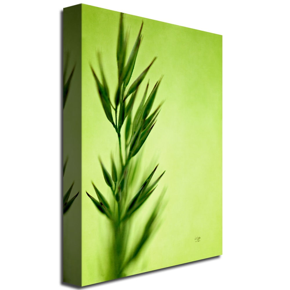 Trademark Fine Art "Keep Green II" Canvas Wall Art by Lois Bryan