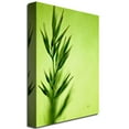 thumbnail image 3 of Trademark Fine Art "Keep Green II" Canvas Wall Art by Lois Bryan, 3 of 3