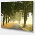 thumbnail image 2 of Rural Road Under Big Green Trees, 2 of 3