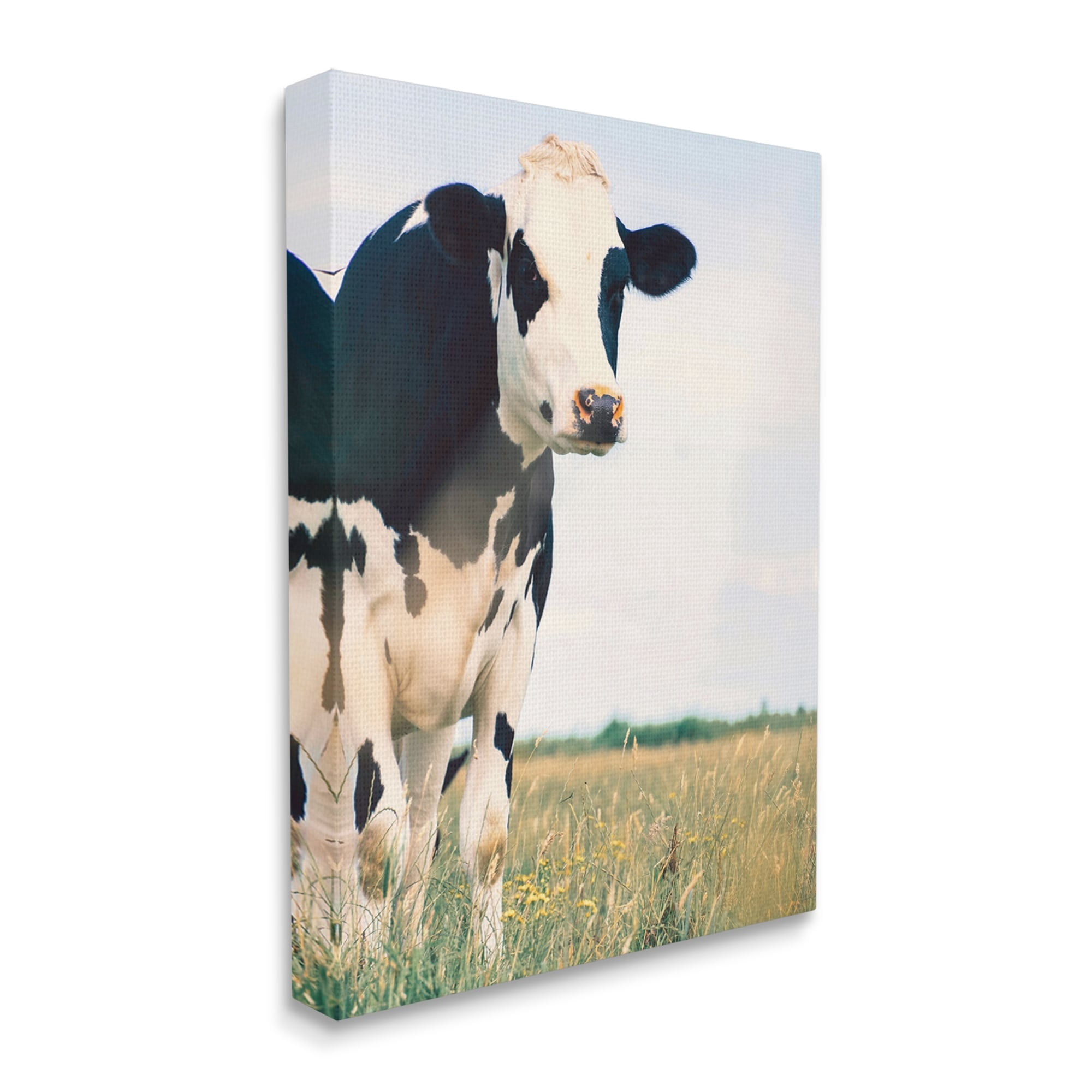 Stupell Industries Country Farm Cow Photography Animals & Insects Photography Gallery Wrapped Canvas Print Wall Art