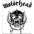 thumbnail image 2 of Motorhead Horned Skull White Large T-Shirt, 2 of 3