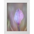 thumbnail image 1 of Shumilova, Ludmila 24x32 White Modern Wood Framed Museum Art Print Titled - Crocus 1, 1 of 4