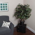 thumbnail image 2 of Vickerman 4' Artificial Capensia Extra Full in Rattan Basket, 2 of 3