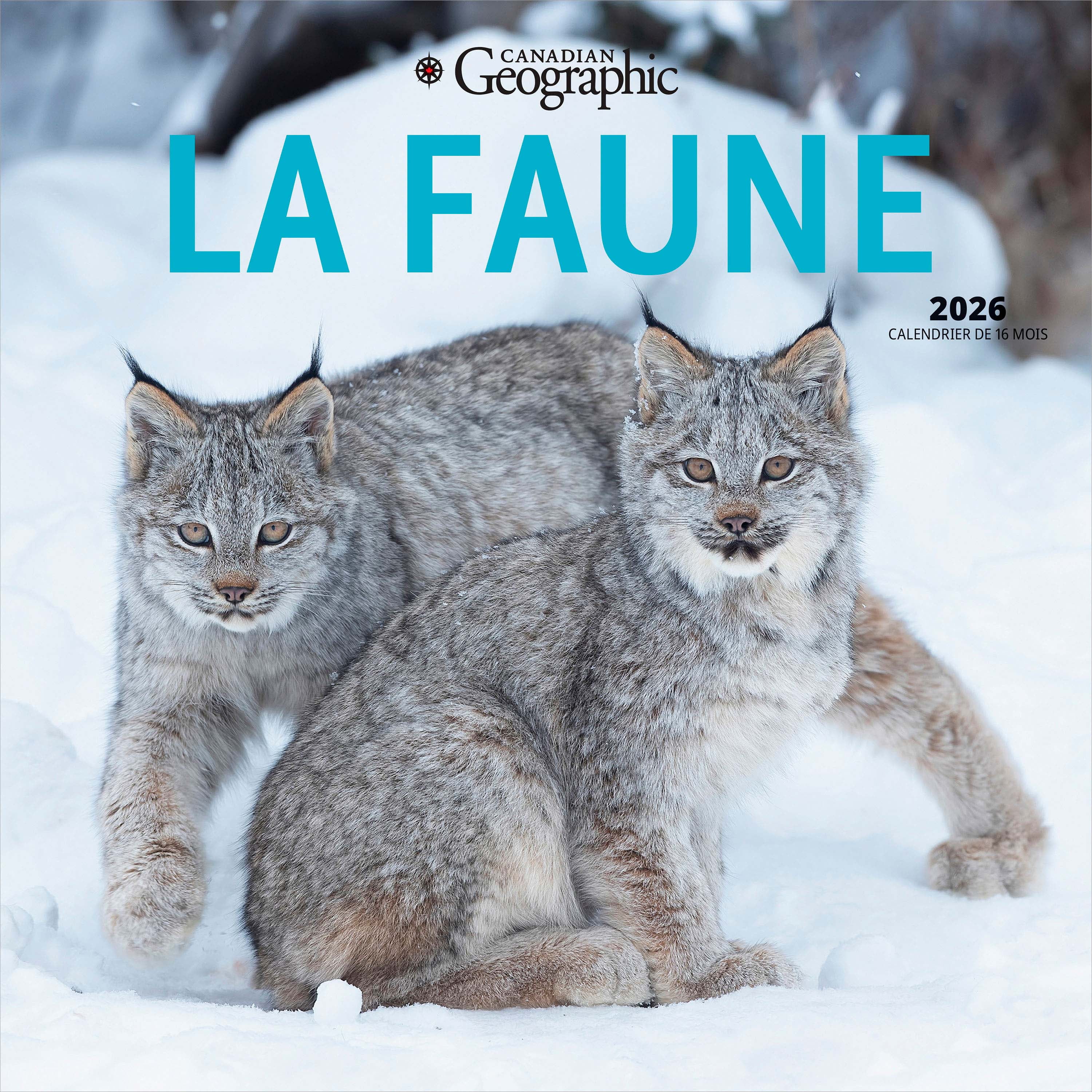 Canadian Geographic La faune 2026 Square FRENCH Wyman FOIL