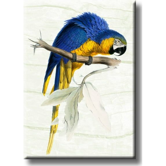 Yellow Blue Parrot Picture on Stretched Canvas, Wall Art Décor, Ready to Hang