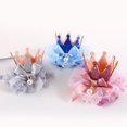 thumbnail image 4 of Pet Cute Princess Crown Hat for Dog and Cat Birthday Costumes and Photo Prop, 4 of 6