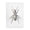 Textured Beetle Minimal, variant on Stupell Industries - Beetle Gold Animal Photograph Canvas 24x30 by Design Fabrikken