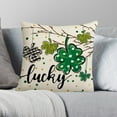 thumbnail image 5 of StSilkitty St. Patrick's Day Pillow Cover Sofa Pillow Cover Washable Pillow Cover Holiday Gift Suitable for Sofa Bedroom Office, 5 of 6
