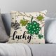 thumbnail image 5 of St. Patrick's Day Pillow Cover Sofa Pillow Cover Washable Pillow Cover Holiday Gift Suitable For Sofa Bedroom Office, 5 of 6