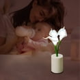 thumbnail image 5 of Mini Flower Pot Night Light Desk Lamp for Bedroom, Home Decor, Romantic Atmospheres, Battery Operated, Gift Idea, 5 of 5