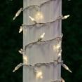thumbnail image 2 of Novelty Lights Warm White 35 light T5 Traditional LED Christmas Mini Light Set (White Wire, 11.5 Feet), 2 of 5