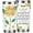 Aunt, variant on Bonus Daughter Gift from Stepmom Stepdad -20 oz Bonus Daughter Coffee Cup Vacuum Insulated Stainless Steel,Ideal Bonus Daughter Birthday Gift (Bonus daughter)