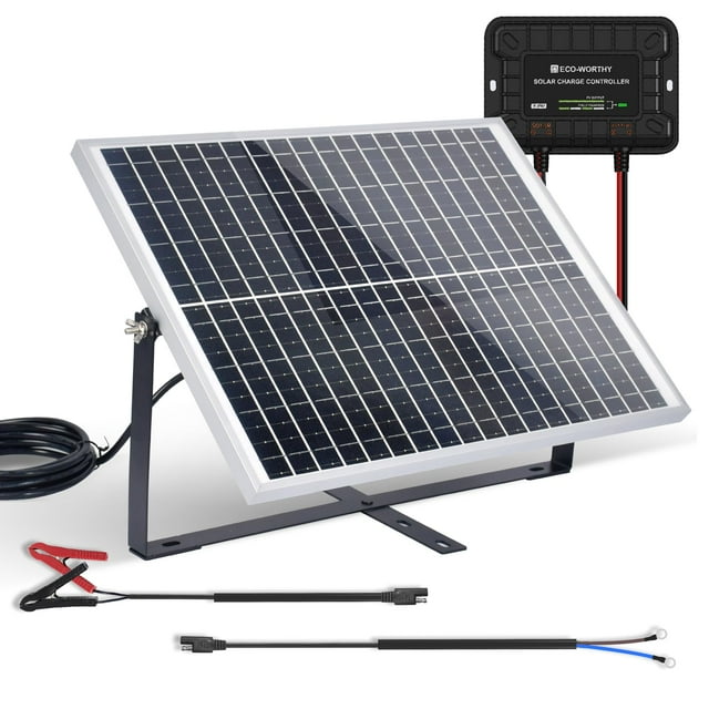 Cargador lento de batería solar ECO-WORTHY 25 W 12 V con controlador